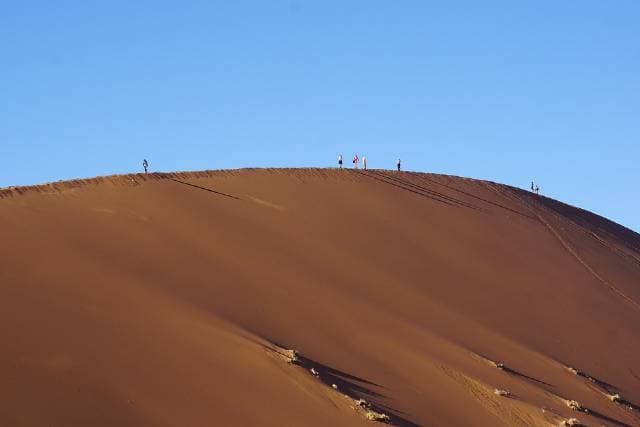À la découverte des beaux paysages et de la riche faune namibiens